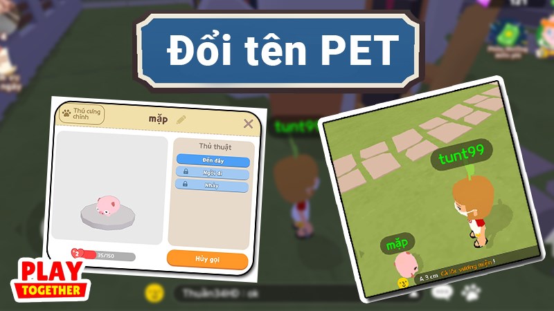 Đổi tên Pet, dắt Pet trong Play Together Đổi tên Pet, dắt Pet trong Play Together