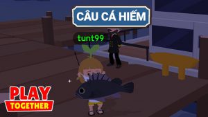 Cách câu cá trong Play Together