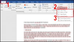 Chọn vị trí và kiểu đánh số trang trong mục Page Number