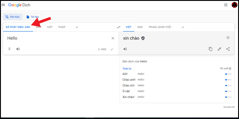 cach-tai-google-dich-ve-may-tinh-dien-thoai-don-gian-nhanh-2-2 Chức năng Phát hiện ngôn ngữ