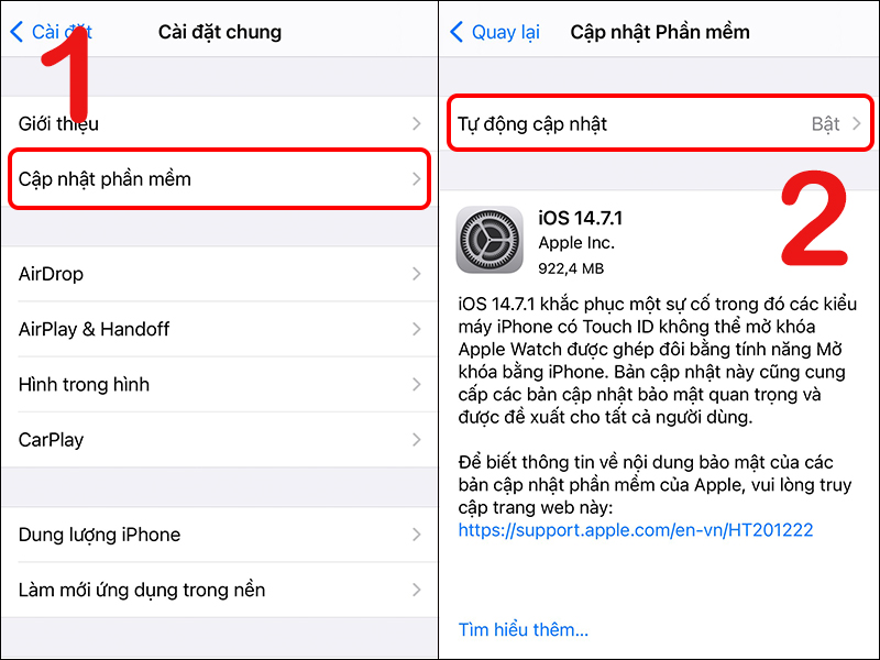 cach-tat-tu-dong-cap-nhat-phan-mem-ung-dung-tren-iphone-3-800x600-1 Chọn Cập nhật phần mềm và đi tới mục Tự động cập nhật