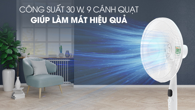 cach-ve-sinh-quat-dung-quat-treo-tuong-chi-voi-6-buoc-rat-m3-800x450-1 Lưu ý trước khi vệ sinh quạt