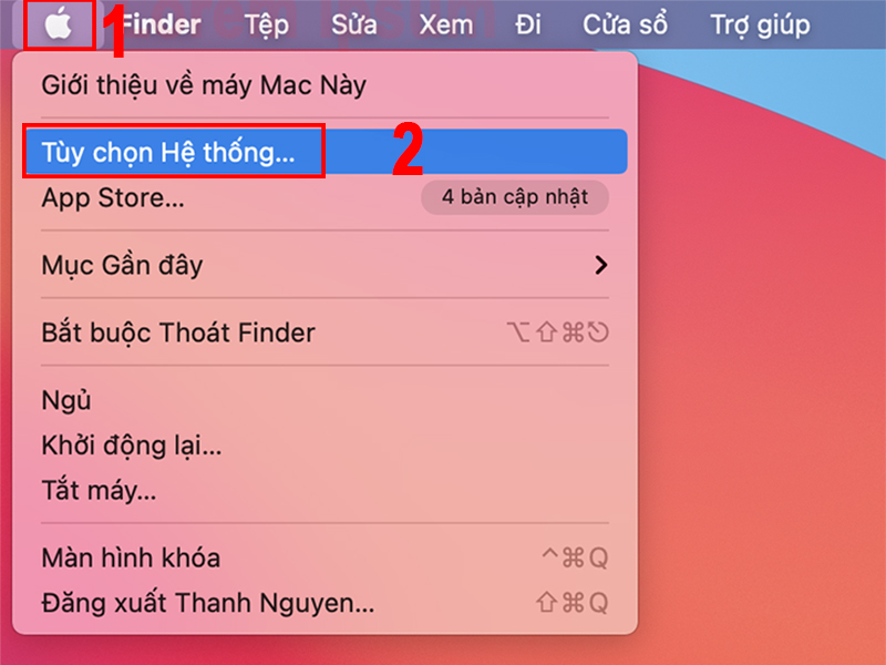 Vào biểu tượng Apple chọn Tuỳ chọn hệ thống
