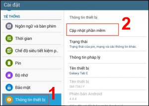 Truy cập Cập nhật phần mềm trong phần Thông tin thiết bị
