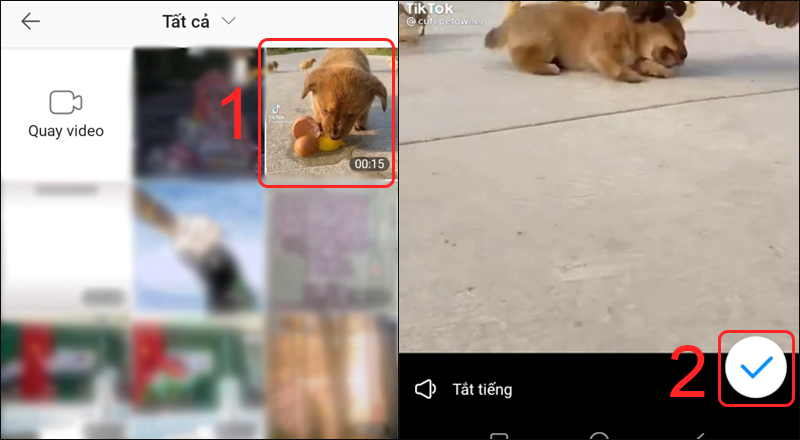 cau-hoi-zl8-800x440-1 Chọn video muốn đăng