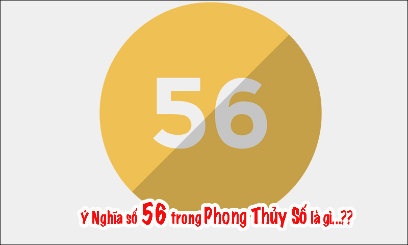 dau-so-0356-la-mang-gi-y-nghia-cua-dau-so-0356-co-phai-dau-3-3-800x480-1 Ý nghĩa đặc biệt số 5 đứng cạnh số 6