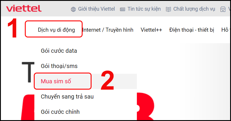 dau-so-0373-la-mang-gi-y-nghia-cua-dau-so-0373-co-phai-so-7-800x420-1 Vào trang web của Viettle