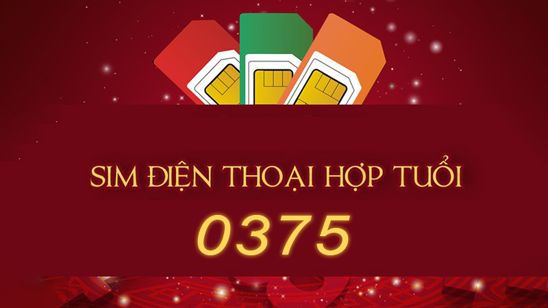 dau-so-0375-la-mang-gi-y-nghia-cua-dau-so-0375-co-phai-so-5-1-2-800x450-1 Cách chọn SIM phong thủy hợp tuổi