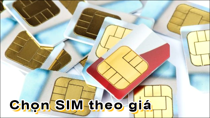 dau-so-0375-la-mang-gi-y-nghia-cua-dau-so-0375-co-phai-so-5-3-1-800x450-1 Cách chọn SIM theo giá