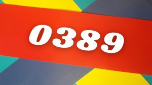 Đầu số 0389 thuộc nhà mạng Viettel