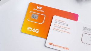 Đầu số 0584 là đầu số thuộc dãy đầu số 058 của nhà mạng Vietnamobile