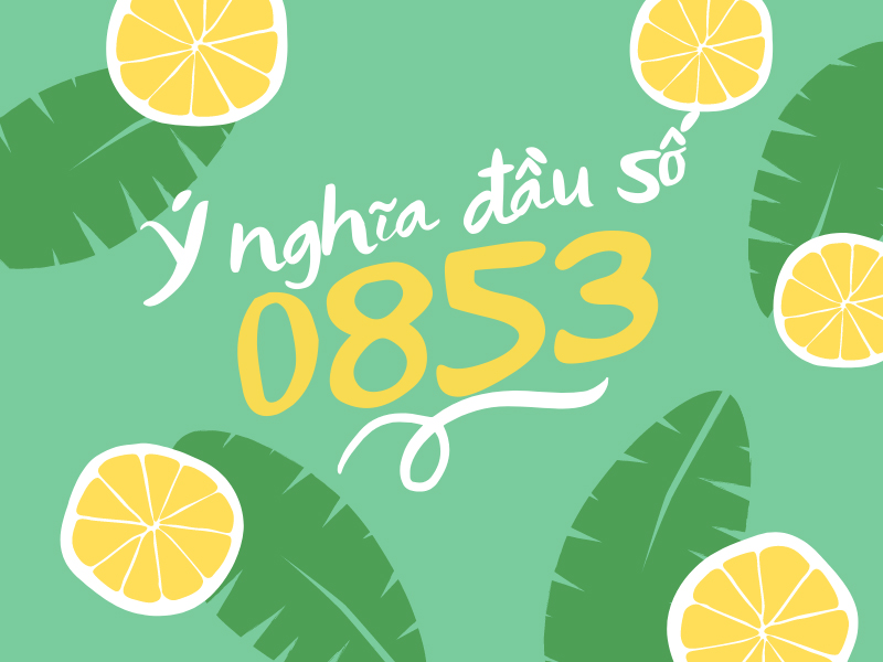 Ý nghĩa các con số của đầu số 0853