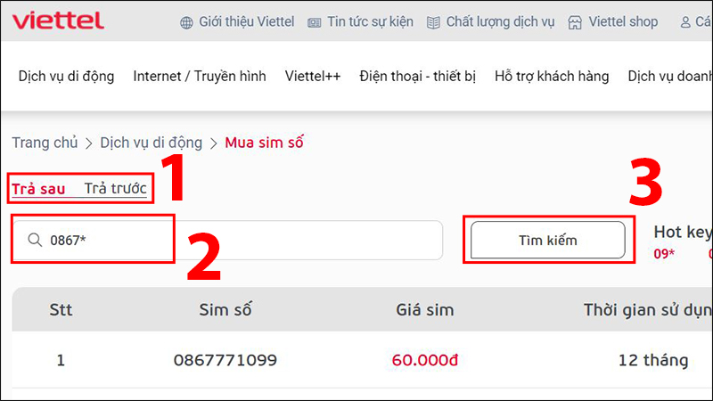 Tìm kiếm đầu số 0867*