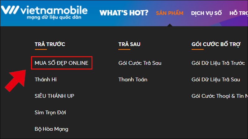 dau-so-0924-la-mang-gi-y-nghia-cua-dau-so-0924-co-phai-dau202 Bấm vào MUA SỐ ĐẸP ONLINE