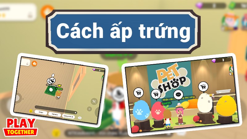 Cách ấp trứng trong Play Together Cách ấp trứng trong Play Together
