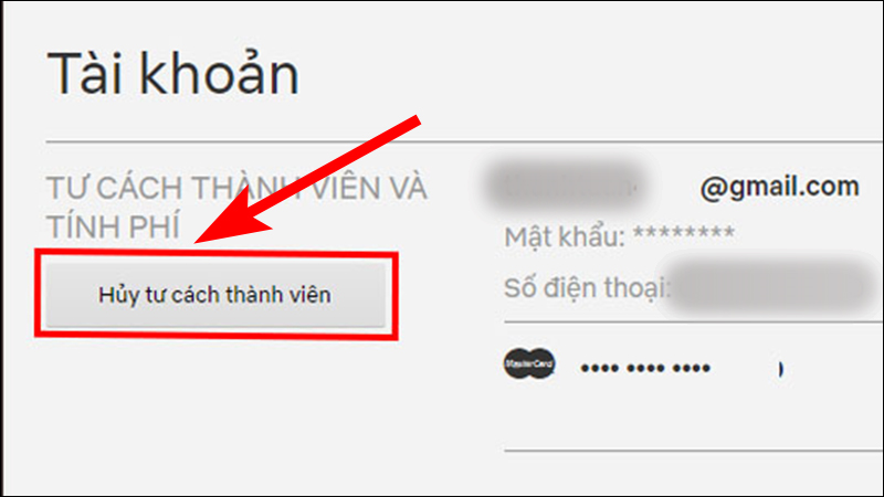 huong-dan-tao-nhanh-tai-khoan-netflix-premium-de-xem-phim-11-800x450-1 Hủy dịch vụ Netflix