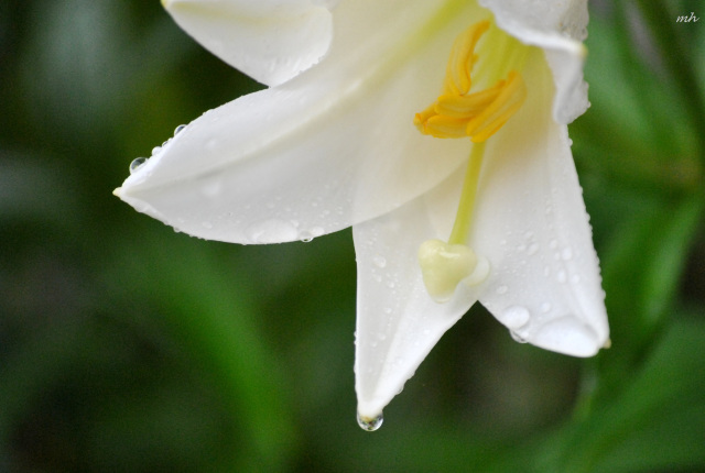 imager_2_6388_700 *