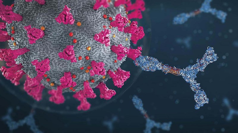 Công nghệ mRNA là gì? Đây là cách hoạt động của vaccine mRNA Covid-19 Công nghệ mRNA là gì? Đây là cách hoạt động của vaccine mRNA Covid-19
