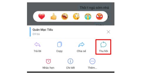 Làm thế nào để xóa và thu hồi tin nhắn trên Zalo 1