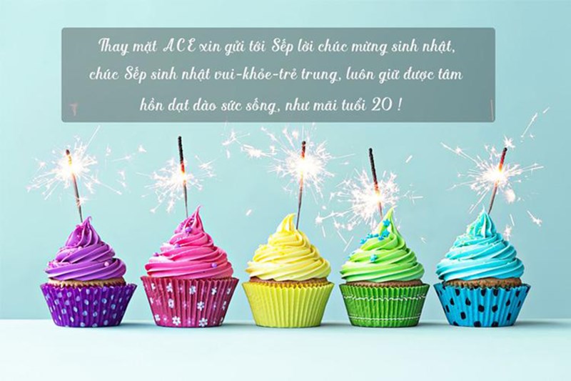 Lời chúc mừng sinh nhật sếp nam 1 Lời chúc mừng sinh nhật sếp nam 1