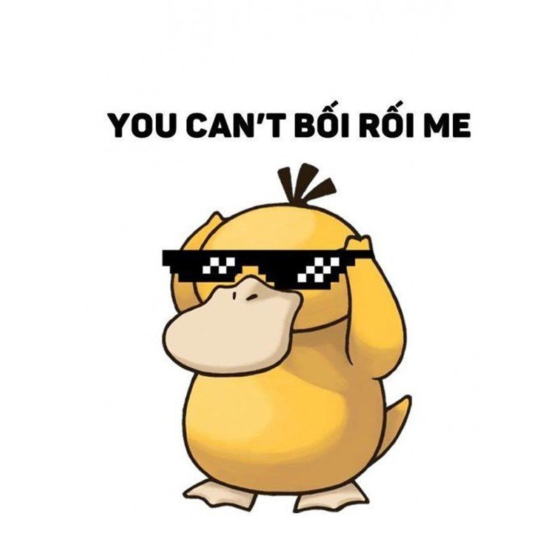Meme vịt vàng bối rối - 11 Meme vịt vàng bối rối - 11