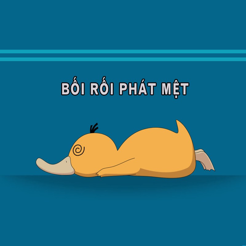 Meme vịt vàng bối rối - 8 Meme vịt vàng bối rối - 8