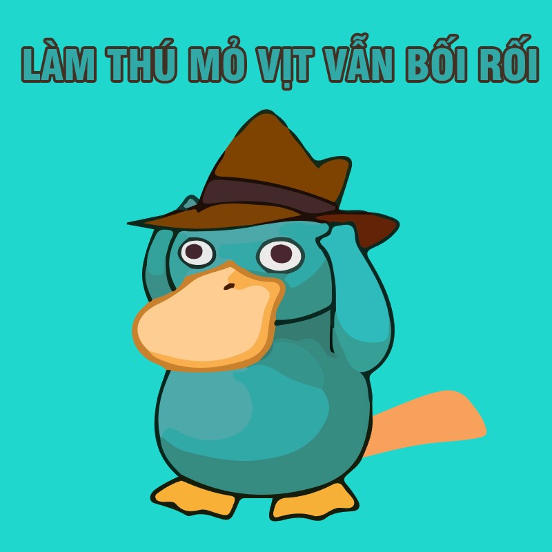 Meme vịt vàng bối rối - 21 Meme vịt vàng bối rối - 21