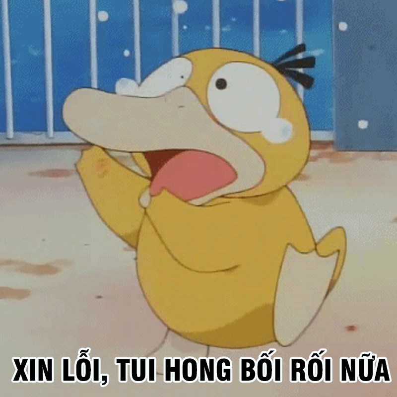 Meme vịt vàng bối rối - 31 Meme vịt vàng bối rối - 31