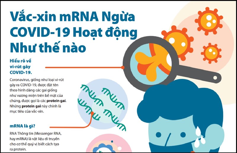 Công nghệ mRNA là gì? Đây là cách hoạt động của vaccine mRNA Covid-19 Công nghệ mRNA là gì? Đây là cách hoạt động của vaccine mRNA Covid-19