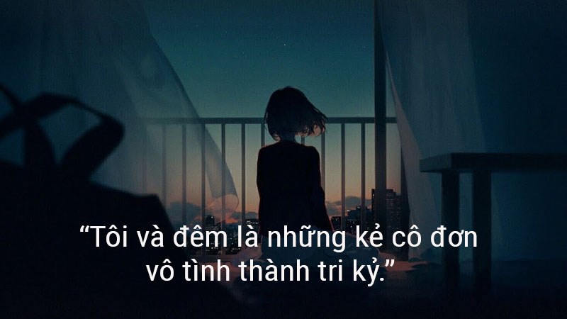Tôi và đêm là những kẻ cô đơn vô tình thành tri kỷ. Tôi và đêm là những kẻ cô đơn vô tình thành tri kỷ.