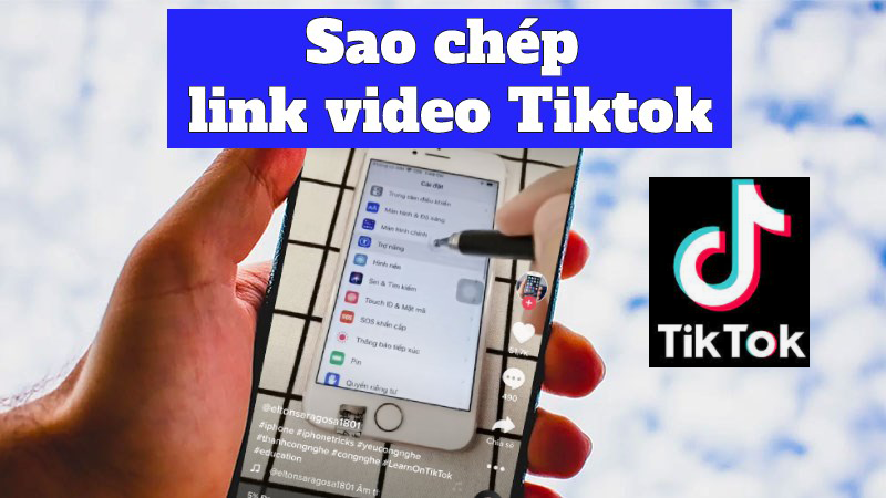 Cách sao chép liên kết video TikTok đơn giản Cách sao chép liên kết video TikTok đơn giản