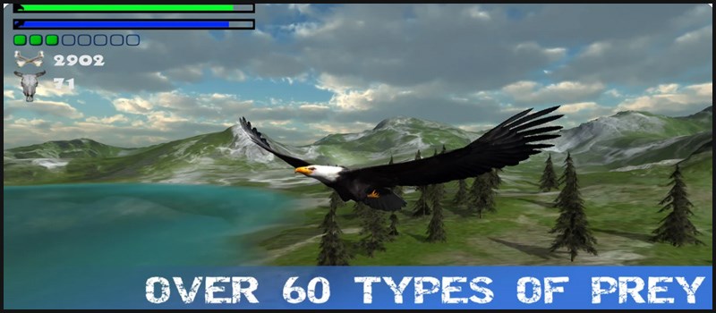 Eagle Hunting Journey Eagle Hunting Journey