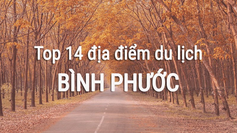 Top 14 địa điểm du lịch Bình Phước không thể bỏ lỡ Top 14 địa điểm du lịch Bình Phước không thể bỏ lỡ