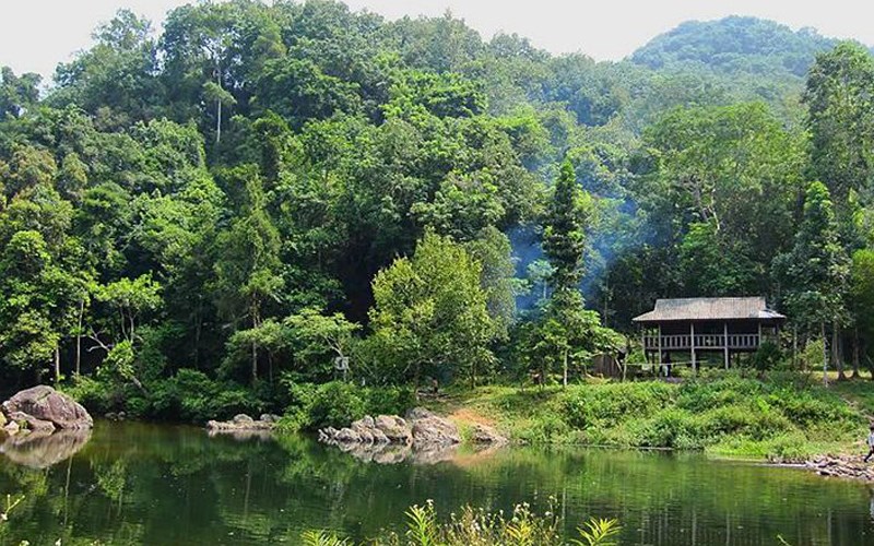 Rừng nguyên sinh Khe Rỗ Rừng nguyên sinh Khe Rỗ