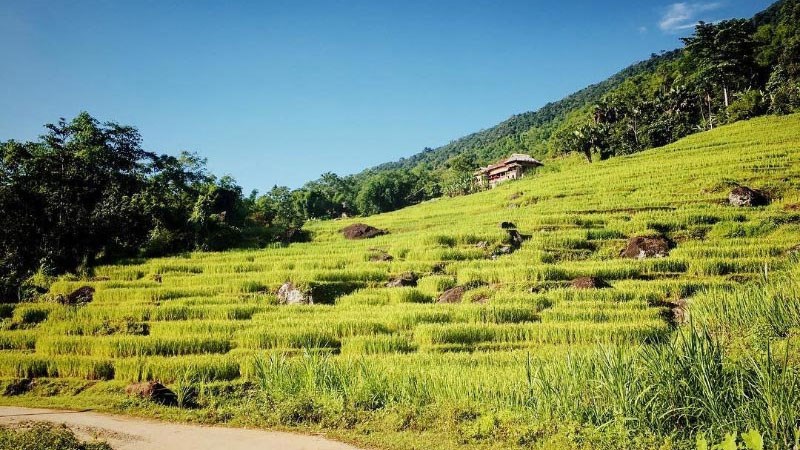 top-15-dia-diem-du-lich-thanh-hoa-hap-dan-khong-nen-bo-lo Thời gian du lịch thích hợp