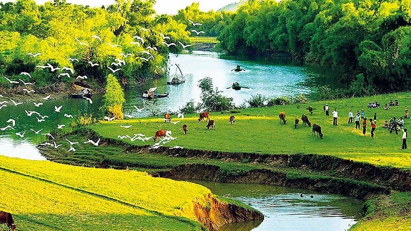 Vườn cò Hải Lựu Vườn cò Hải Lựu