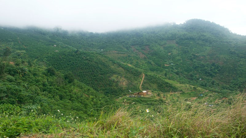 Núi Đại Bình Núi Đại Bình