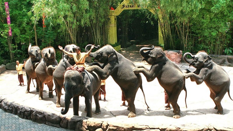Công viên động vật Zoo Safari Park Công viên động vật Zoo Safari Park