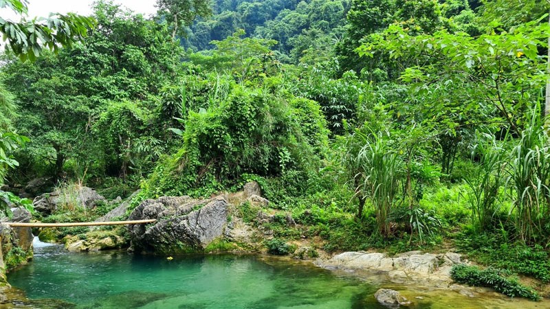 Thượng Lâm Thượng Lâm