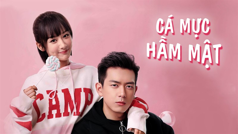 Cá Mực Hầm Mật Cá Mực Hầm Mật