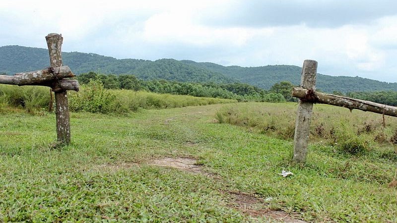 Cánh Đồng Hoa Rễ Cánh Đồng Hoa Rễ