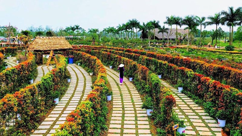 Công Viên Hoa Hồng Rose Park Công Viên Hoa Hồng Rose Park