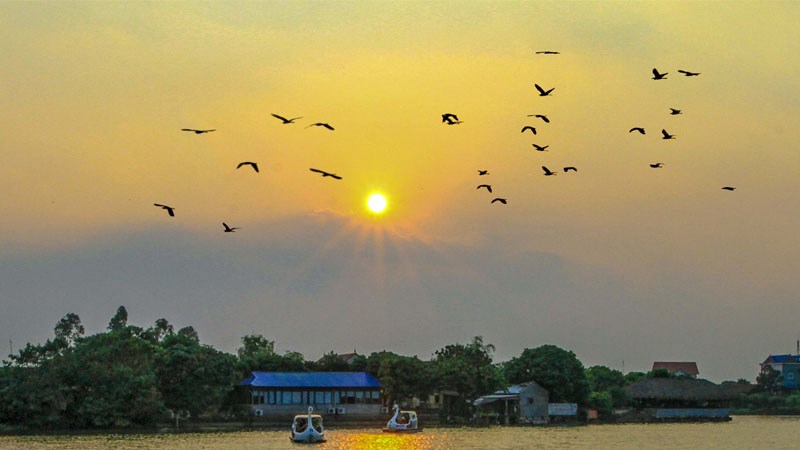 Đảo Cò Chi Lăng Đảo Cò Chi Lăng
