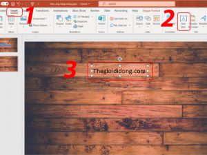 Dùng công cụ Text Box để nhập chữ vào slide