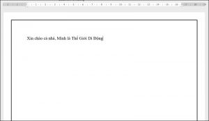 Minh họa khung viền Page Border