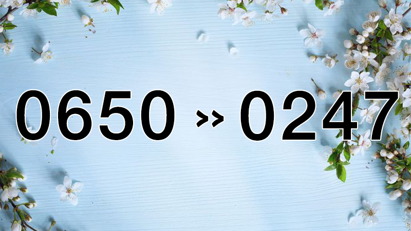 0650-la-mang-gi-o-dau-dau-so-0650-doi-thanh-gi2-800x450-1 Đầu số 0650 đổi thành 0274