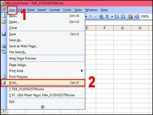 Vào tab File trên thanh công cụ và chọn mục Print