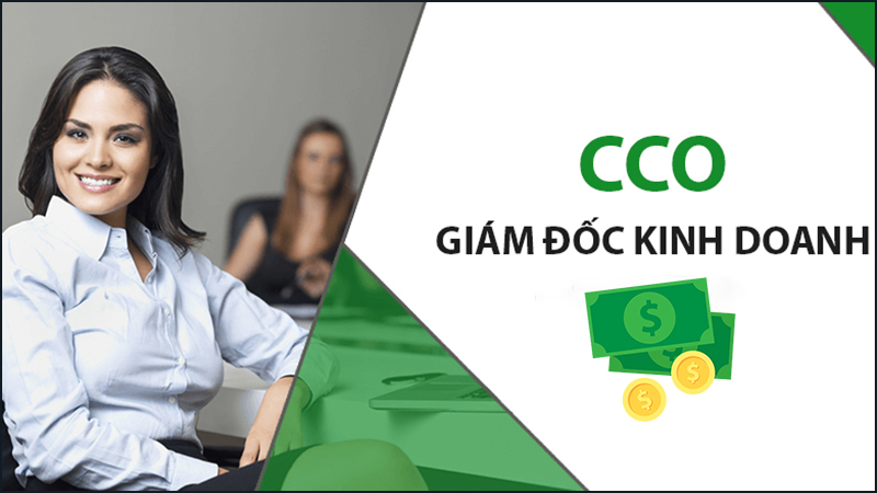 COO hay Giám đốc kinh doanh là vị trí đóng vai trò quan trọng với lợi nhuận của doanh nghiệp