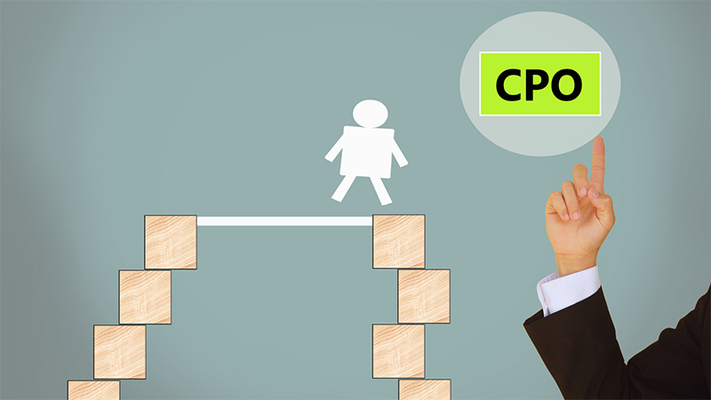 CPO chịu trách nhiệm cho mọi hoạt động sản xuất dịch vụ hoặc sản phẩm của doanh nghiệp