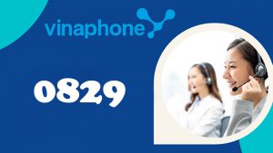 0829 là mạng VinaPhone